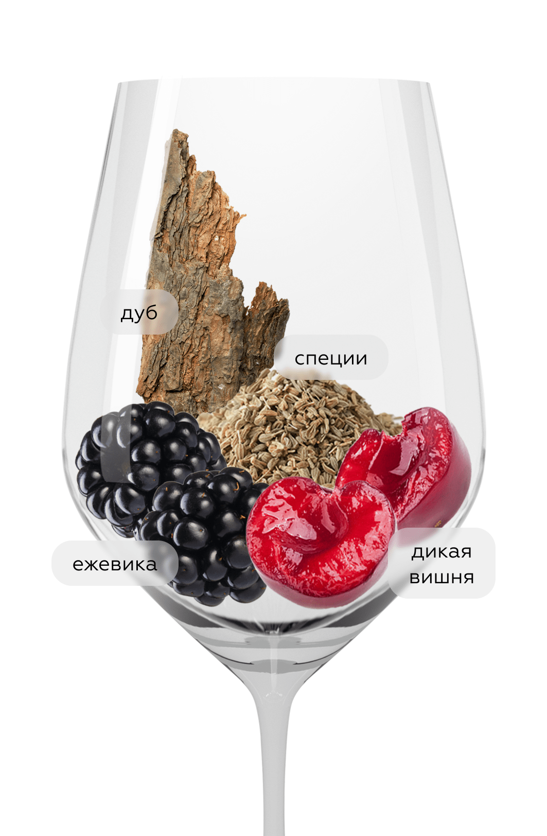 Вино Gran Feudo Reserva, Bodegas Chivite, 2021, (159295), Испания, Наварра, красное, сухое, 0.75 л, Гран Феудо Ресерва, цена 2990 рублей