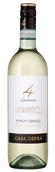 Pinot Grigio