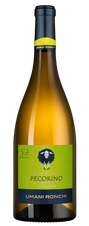 Вино Vellodoro Pecorino , (137328), белое сухое, 2021 г., 0.75 л, Веллодоро Пекорино цена 2490 рублей