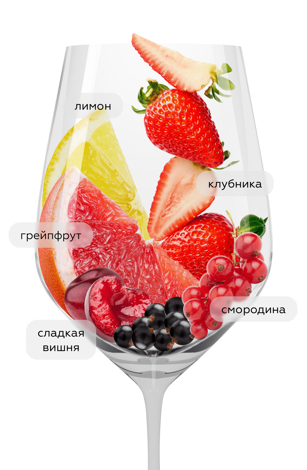 Вино Rose de Loire les Versaines, Marcel Martin, 2025, (160311), Франция, Долина Луары, розовое, сухое, 0.75 л, Розе де Луар ле Версен, цена 2490 рублей