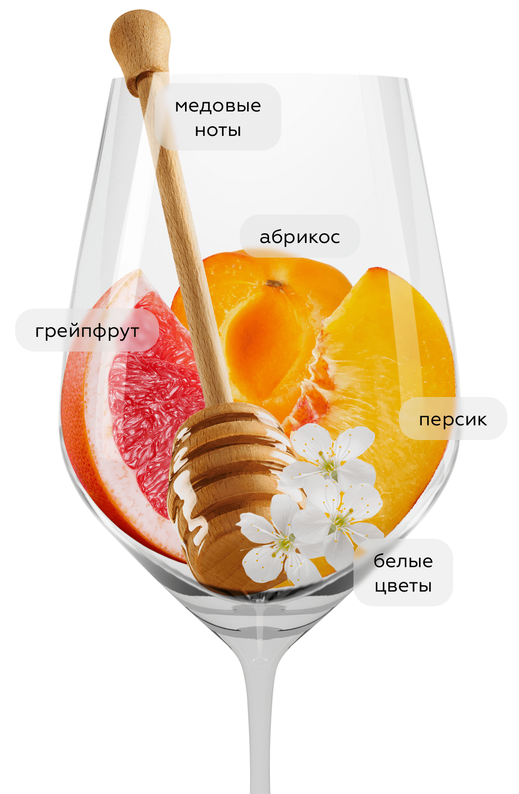 Вино Medusa Albarino, 2024, (159924), Испания, Галисия, белое, сухое, 0.75 л, Медуса Альбариньо, цена 3490 рублей