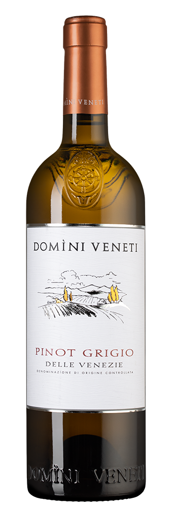 Вино Pinot Grigio, Domini Veneti, 2022, (143650), Италия, Венето, белое, полусухое, 0.75 л, Пино Гриджо, цена 2690 рублей