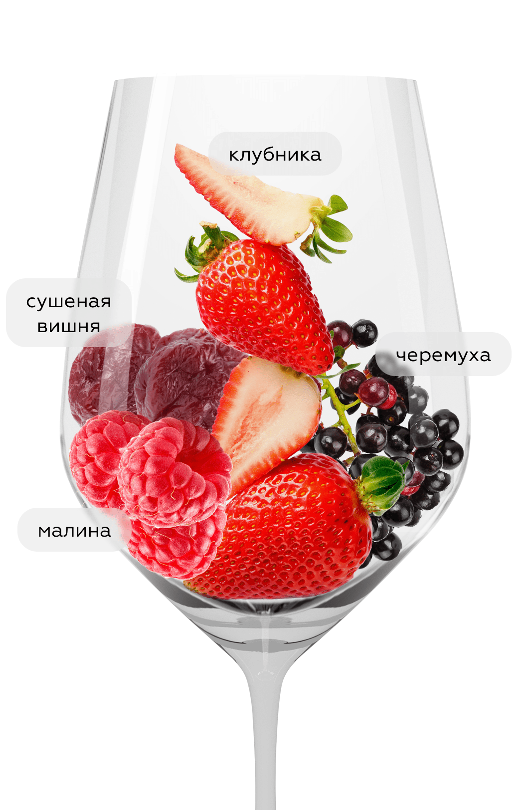 Вино Мезыбь. Каберне Совиньон/Каберне Фран, 2021, (154554), Россия, Кубань, красное, сухое, 0.75 л, Мезыбь. Каберне Совиньон/Каберне Фран, цена 1390 рублей