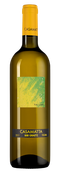 Белые итальянские вина Casamatta Bianco