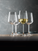 Бокалы Набор из 4-х бокалов Spiegelau Lifestyle для белого вина