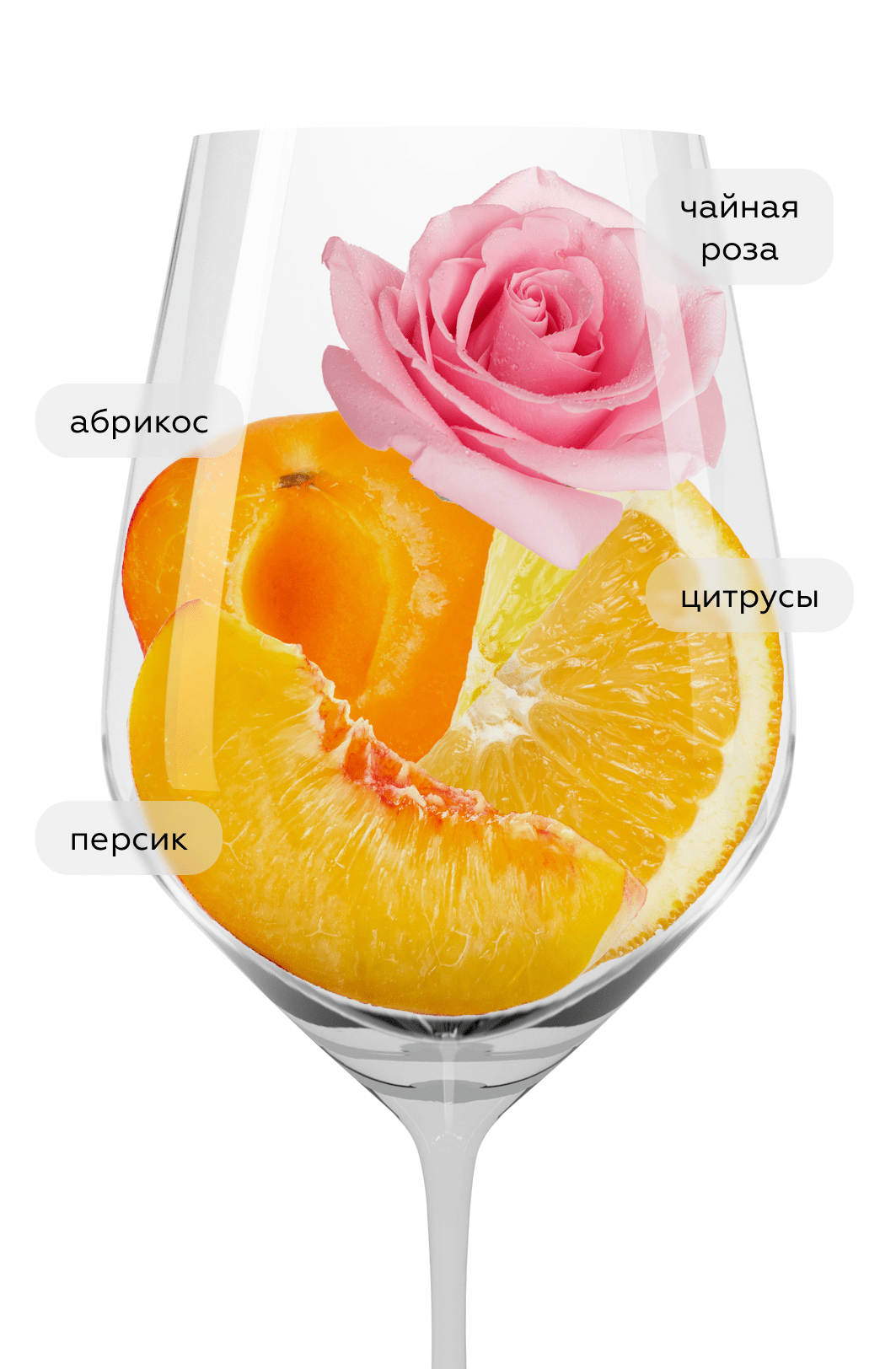 Игристое вино Балаклава Мускат, Золотая Балка, 2024, (159275), Россия, Крым, белое, полусладкое, 0.75 л, Балаклава Мускат, цена 872 рублей