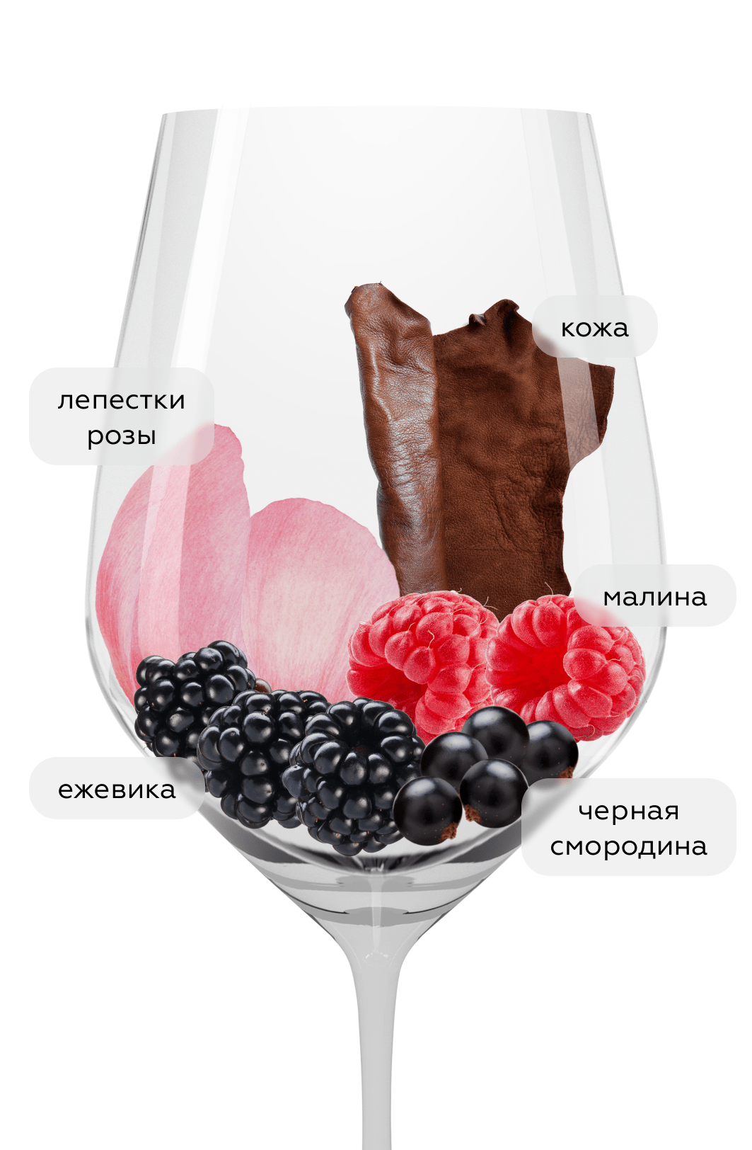 Вино Frans Malan, Simonsig, 2019, (144968), Южная Африка, Стелленбош, красное, сухое, 0.75 л, Франс Малан, цена 6990 рублей