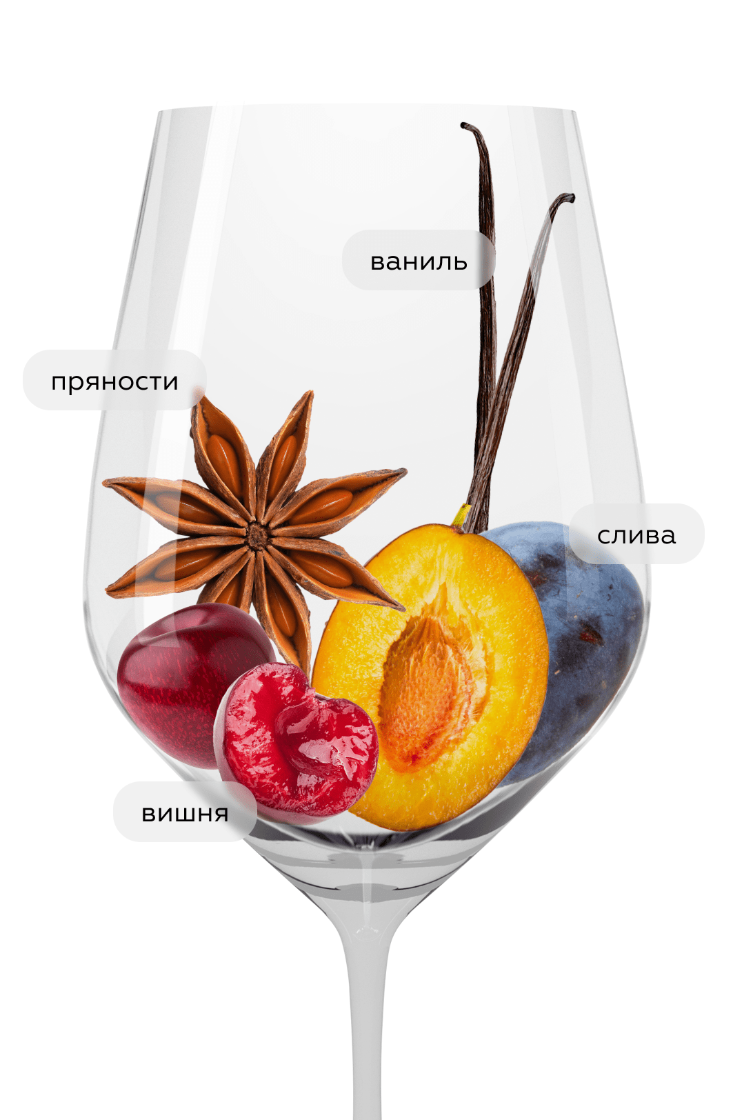 Вино Malbec Vineyards, Trapiche, 2024, (156033), Аргентина, Мендоса, красное, сухое, 0.75 л, Мальбек Виньярдс, цена 1043 рублей