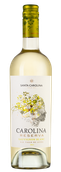 Чилийское белое вино Carolina Reserva Sauvignon Blanc