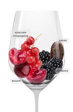 Вино Secco-Bertani Vintage Edition, (138293), красное сухое, 2019 г., 0.75 л, Секко-Бертани Винтаж Эдишн цена 4790 рублей