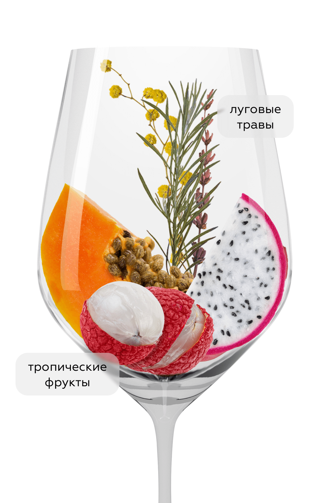 Вино Sancerre Le Grand Rochoy, Domaine Laporte, 2023, (154499), Франция, Долина Луары, белое, сухое, 0.75 л, Сансер Ле Гран Рошуа, цена 11490 рублей