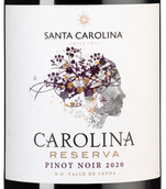 Чилийское красное вино Carolina Reserva Pinot Noir