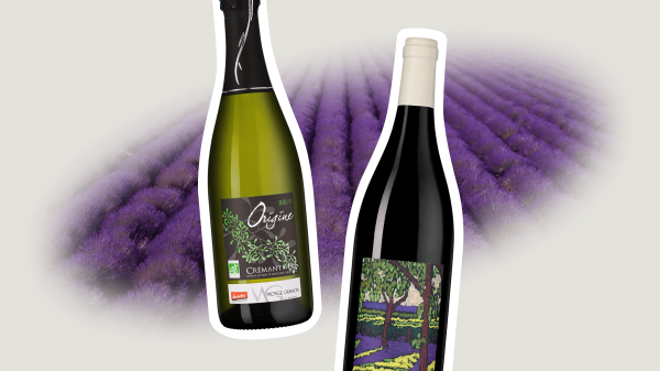 Галопом по Франции: 5 регионов и их главные вина