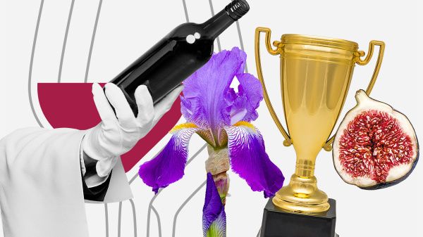 Закулисье конкурсов сомелье: история чемпионки-2023 Олеси Александровой