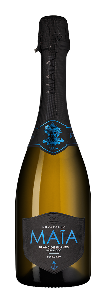 Игристое вино Maia Blanc de Blanc Extra Dry, Cielo, (154883), Италия, Венето, белое, брют, 0.75 л, Майя Блан де Блан Экстра Драй, цена 1498 рублей