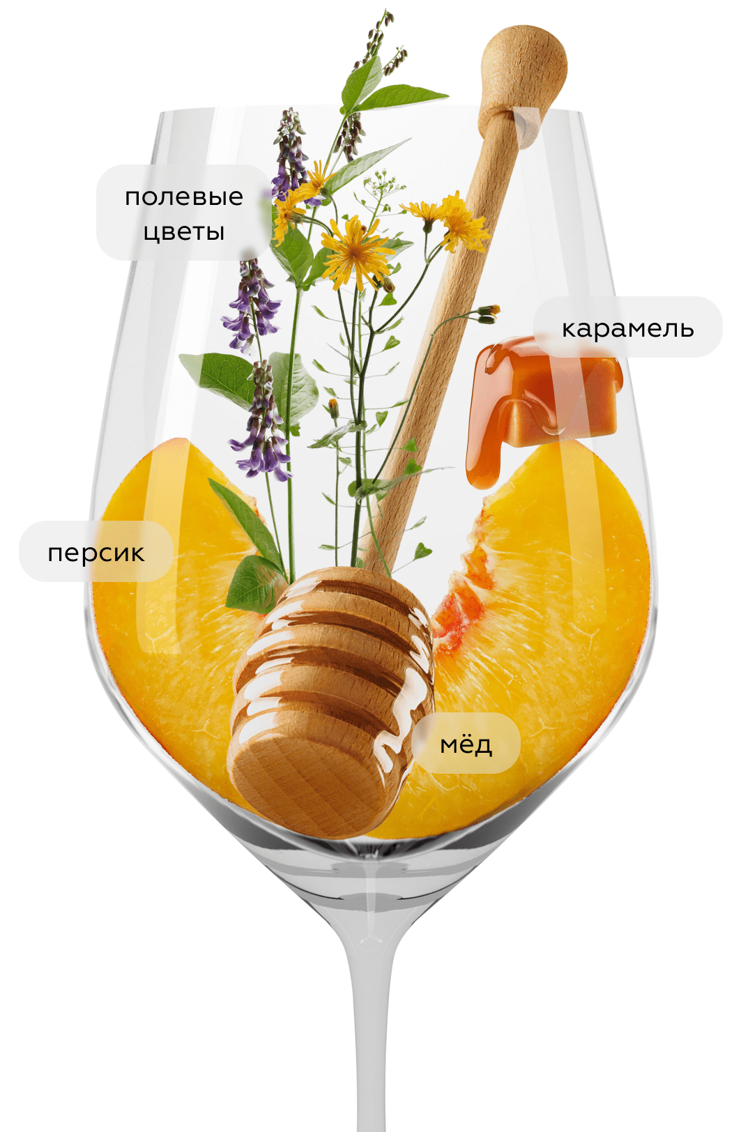 Вино Chiaranda, Donnafugata, 2021, (144258), Италия, Сицилия, белое, сухое, 0.75 л, Кьяранда, цена 11190 рублей