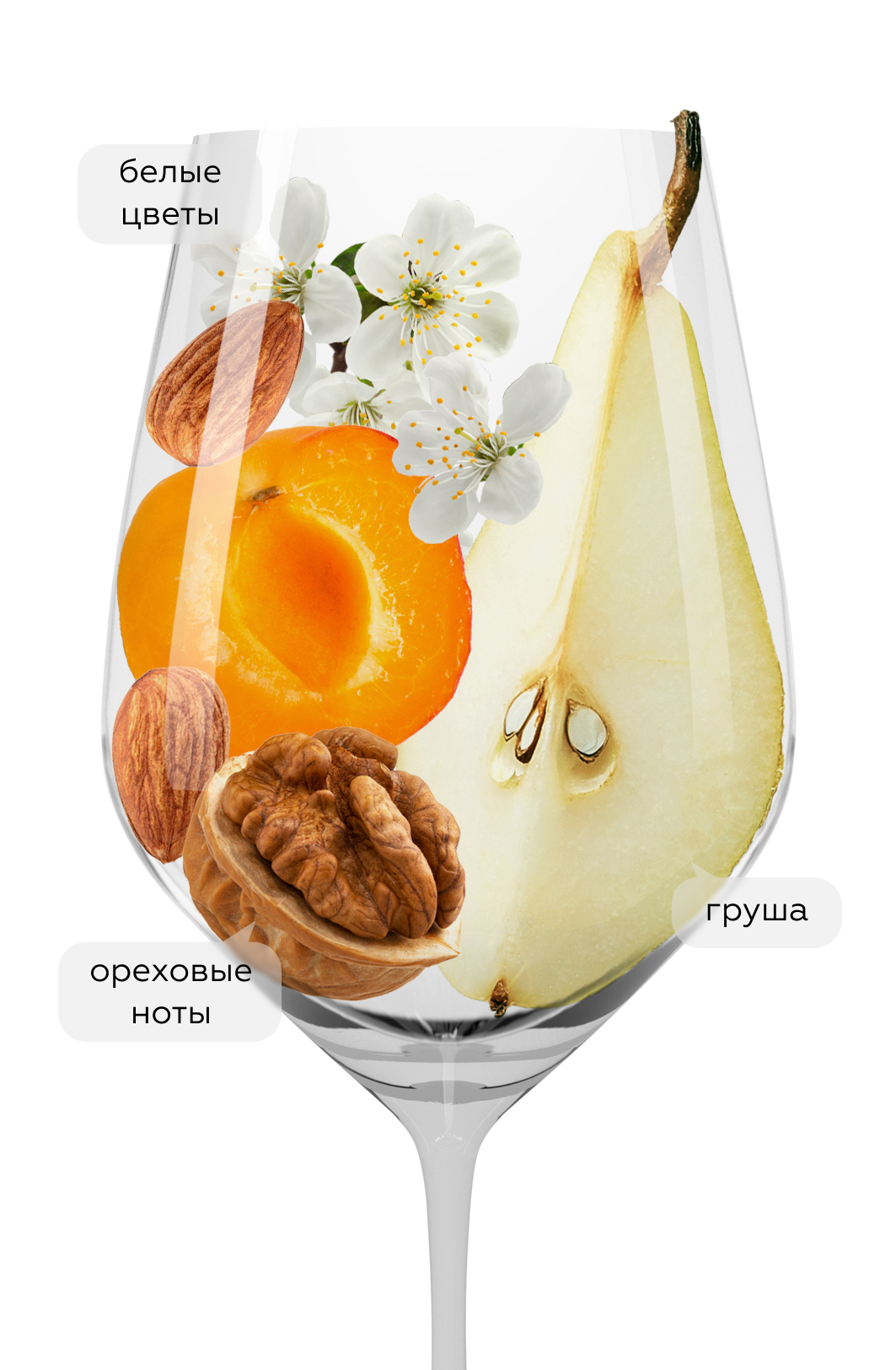 Вино Roero Arneis, Tibaldi, 2022, (144737), Италия, Пьемонт, белое, сухое, 0.75 л, Роэро Арнеис, цена 3368 рублей