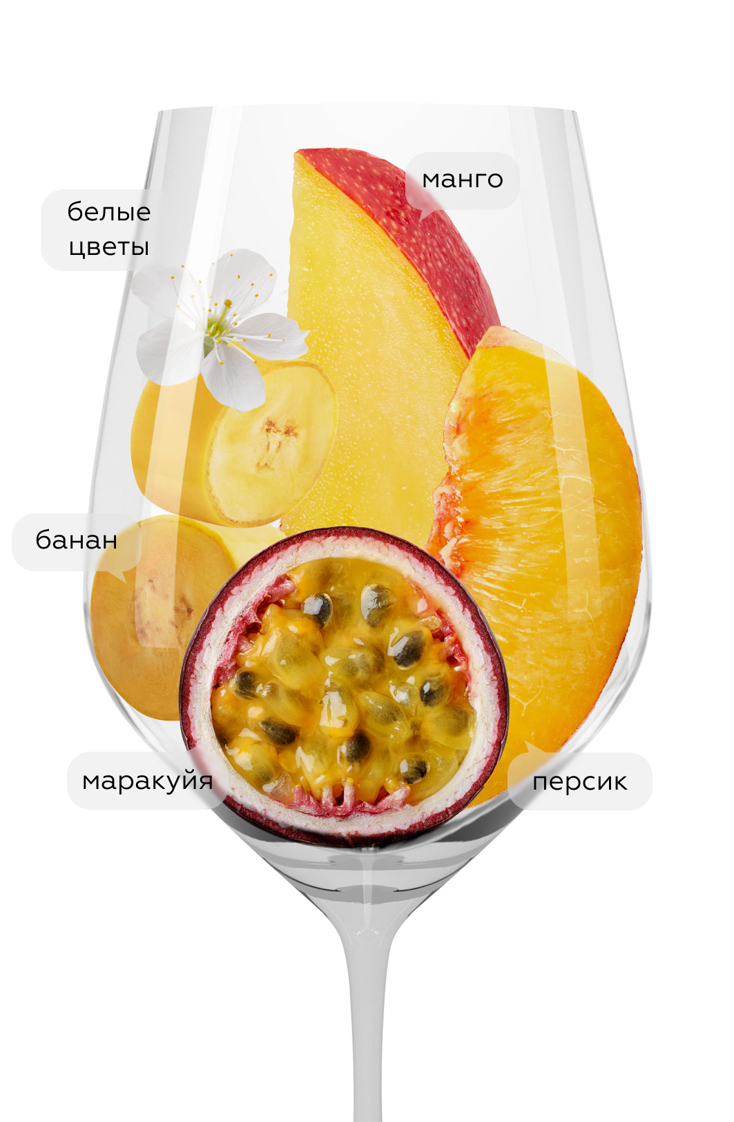 Вино Benefizio Riserva, Frescobaldi, 2021, (142253), Италия, Тоскана, белое, сухое, 0.75 л, Бенефицио Ризерва, цена 6993 рублей