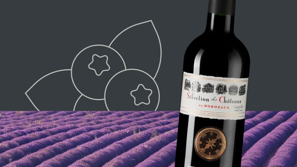 Знаете все о каберне совиньоне? Пройдите тест — и скидка ваша!