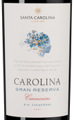 Красное вино Gran Reserva Carmenere