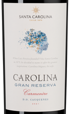 Вино Gran Reserva Carmenere, (145935), красное сухое, 2021 г., 0.75 л, Гран Ресерва Карменер цена 1990 рублей