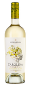 Carolina Reserva Sauvignon Blanc