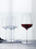 для красного вина Набор из 4-х бокалов Spiegelau Willsberger Anniversary для вин Бордо