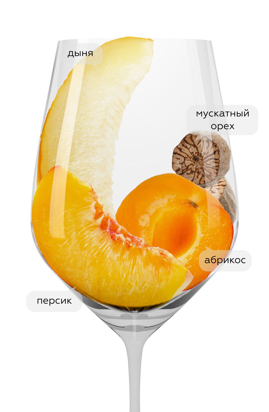 Вино Петрикор Мальвазия, Шумринка, 2024, (157505), Россия, Кубань, белое, сухое, 0.75 л, Петрикор Мальвазия, цена 2490 рублей