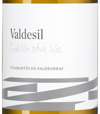 Вино Valdesil Valdeorras, (141721), белое сухое, 2021 г., 0.75 л, Вальдесил Вальдеоррас цена 4490 рублей