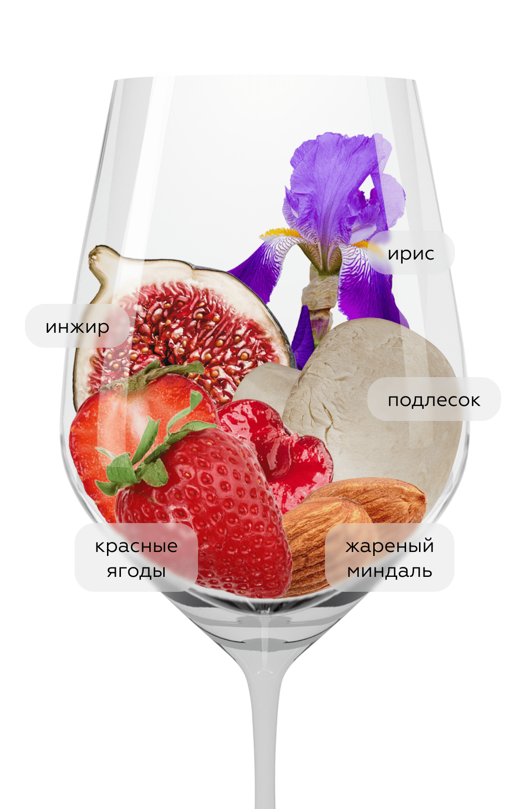 Вино Saint-Joseph Rouge, Guigal, 2020, (153198), Франция, Долина Роны, красное, сухое, 0.75 л, Сен-Жозеф Руж, цена 8990 рублей