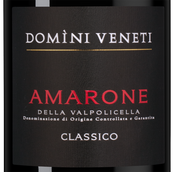 Вино с пряным вкусом Amarone della Valpolicella Classico в подарочной упаковке