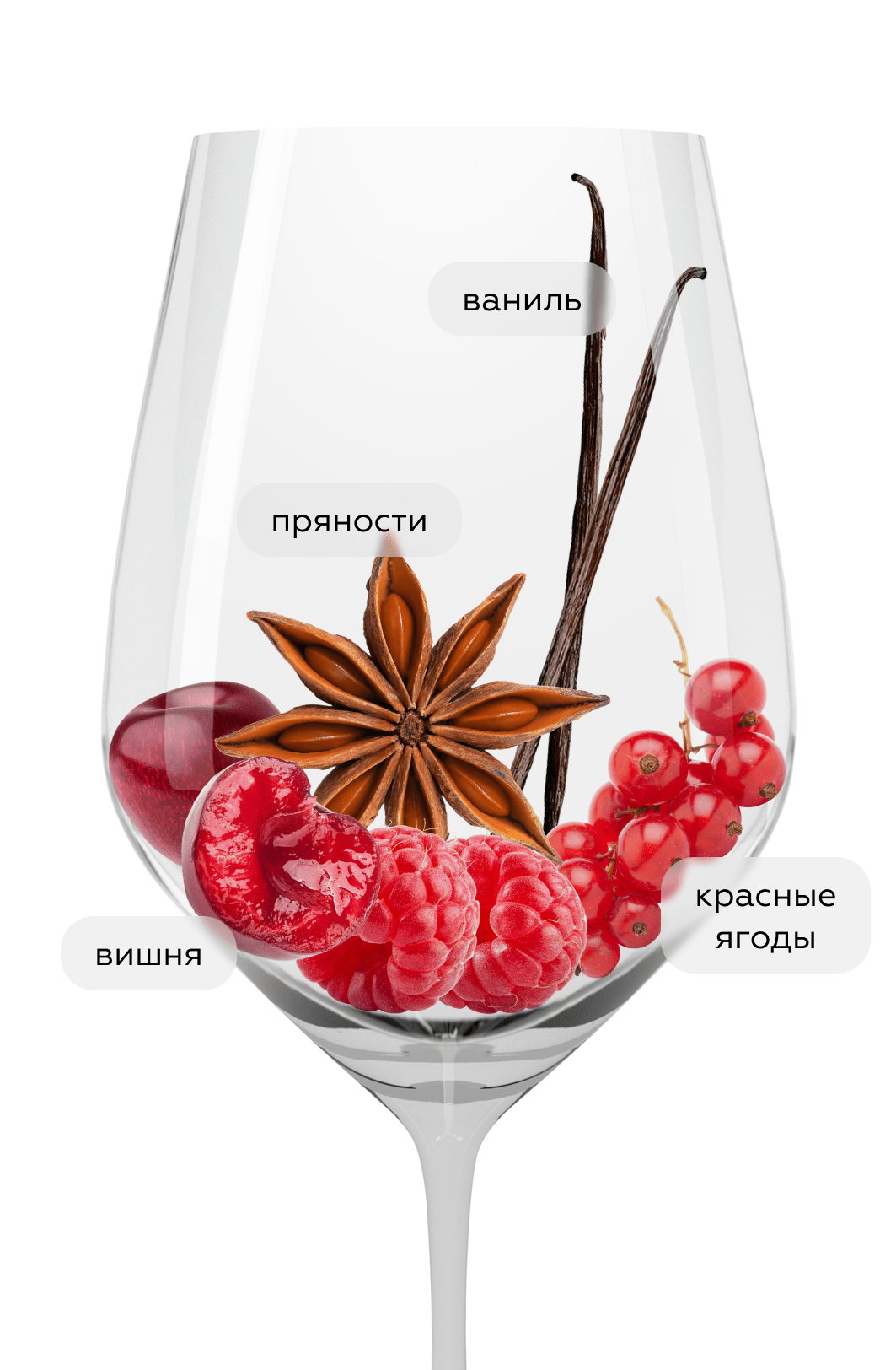 Вино Finca el Encinal Roble, Bodegas Valparaiso, 2022, (146144), Испания, Кастилия и Леон, красное, сухое, 0.75 л, Рибера дель Дуэро Финка эль Энсиналь, цена 2790 рублей