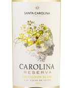 Чилийское белое вино Carolina Reserva Sauvignon Blanc