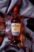 Angostura Aged 5 Years