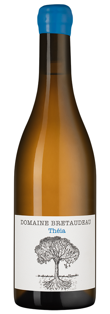 Вино Muscadet Theia, Domaine Bretaudeau, 2023, (148648), Франция, Долина Луары, белое, сухое, 0.75 л, Мюскаде Тейя, цена 8190 рублей