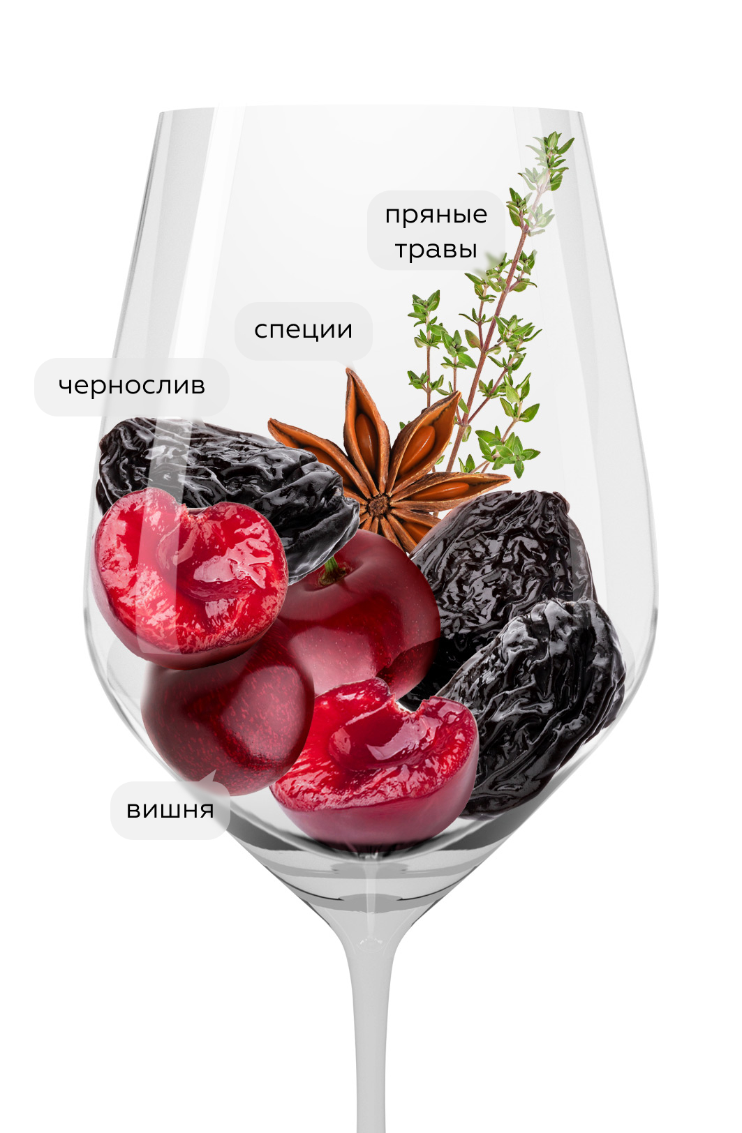 Вино Riparosso Montepulciano d'Abruzzo в подарочной упаковке, Dino Illuminati, 2022, 1.5л, (153639), Италия, Абруццо, красное, сухое, 1.5 л, Монтепульчано д'Абруццо Рипароссо, цена 6490 рублей