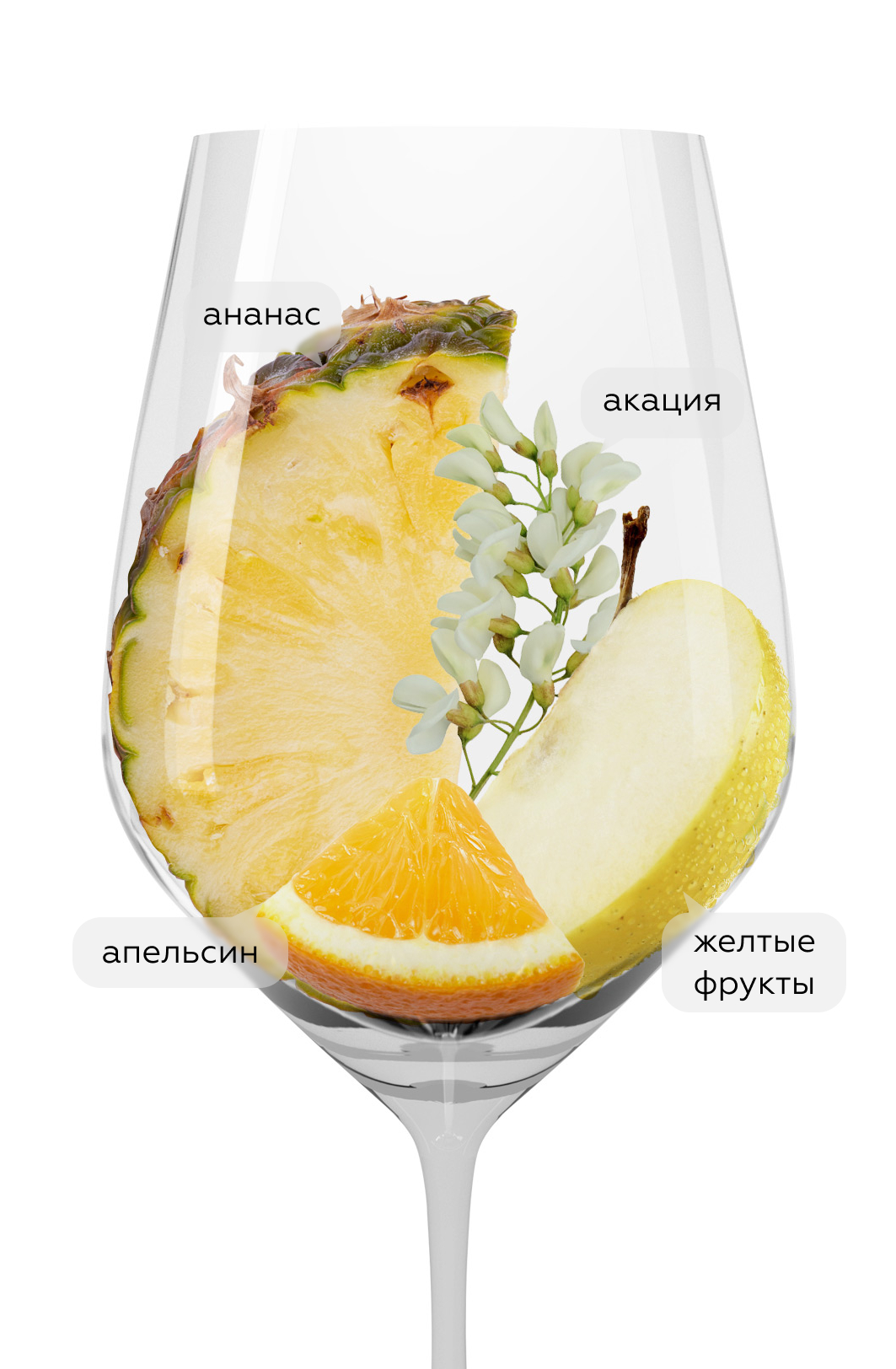 Шампанское Grands Terroirs в подарочной упаковке, Palmer & Co, 2015, (141445), Франция, Шампань, белое, брют, 0.75 л, Гран Терруар, цена 24990 рублей