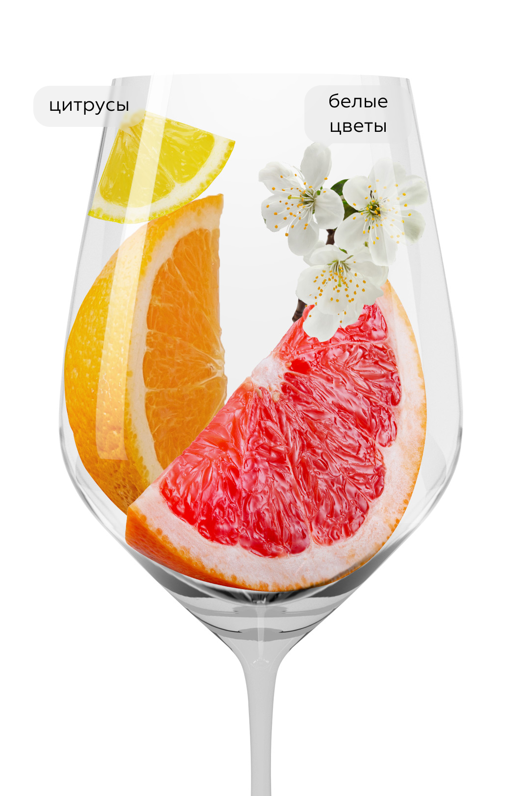 Вино Tus Classic White, TUS, 2022, (144352), Армения, Тавуш, белое, сухое, 0.75 л, Тус Классик Белое, цена 2490 рублей