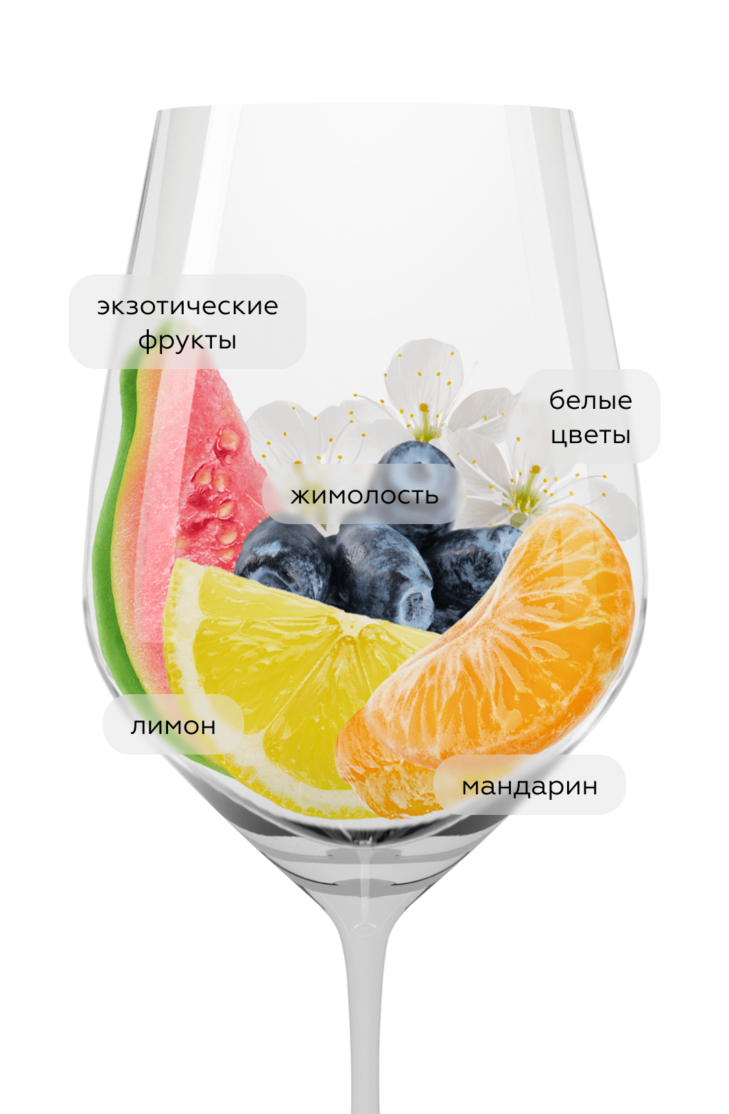 Игристое вино Cremant de Loire Brut, Marcel Martin, (160564), Франция, Долина Луары, белое, брют, 0.75 л, Креман де Луар Брют, цена 3190 рублей