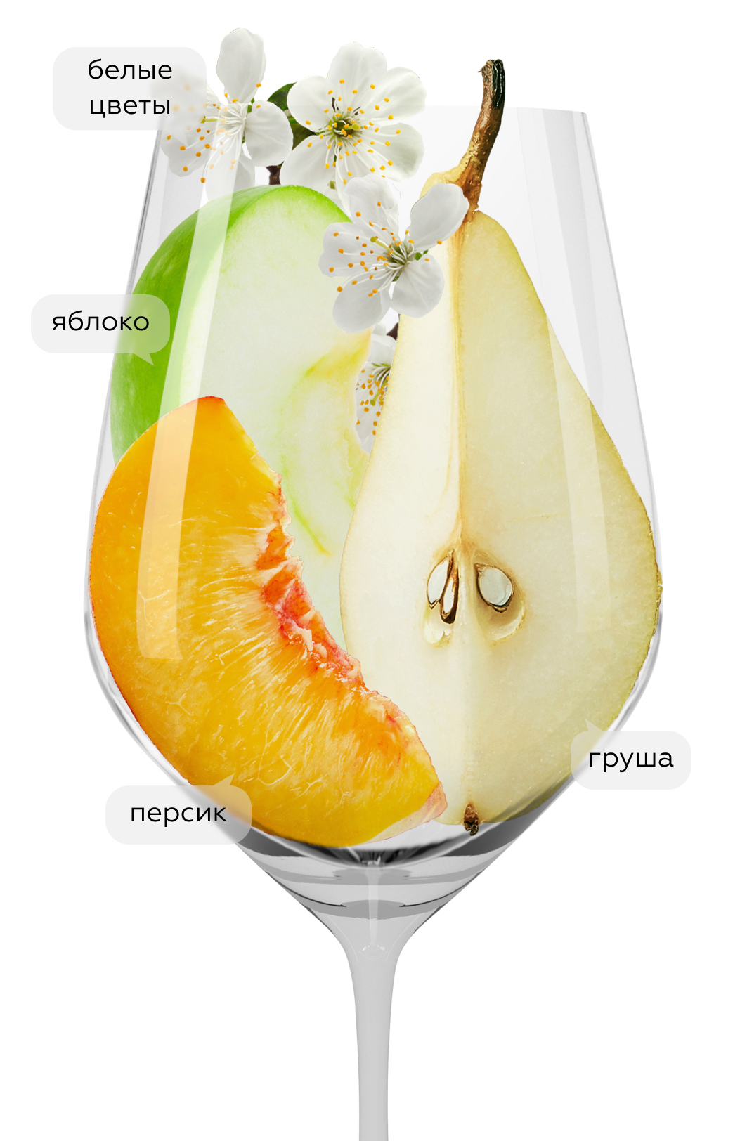 Вино Velante Pinot Grigio, Bertani, 2021, (136735), Италия, Фриули-Венеция-Джулия, белое, сухое, 0.75 л, Веланте Пино Гриджо, цена 3390 рублей