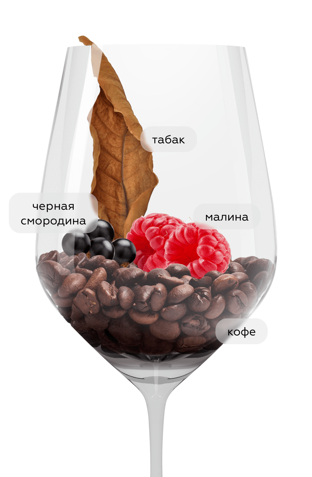 Вино Merlot Reserva, Caliterra, 2022, (143006), Чили, Центральная Долина, красное, сухое, 0.75 л, Мерло Ресерва, цена 2190 рублей