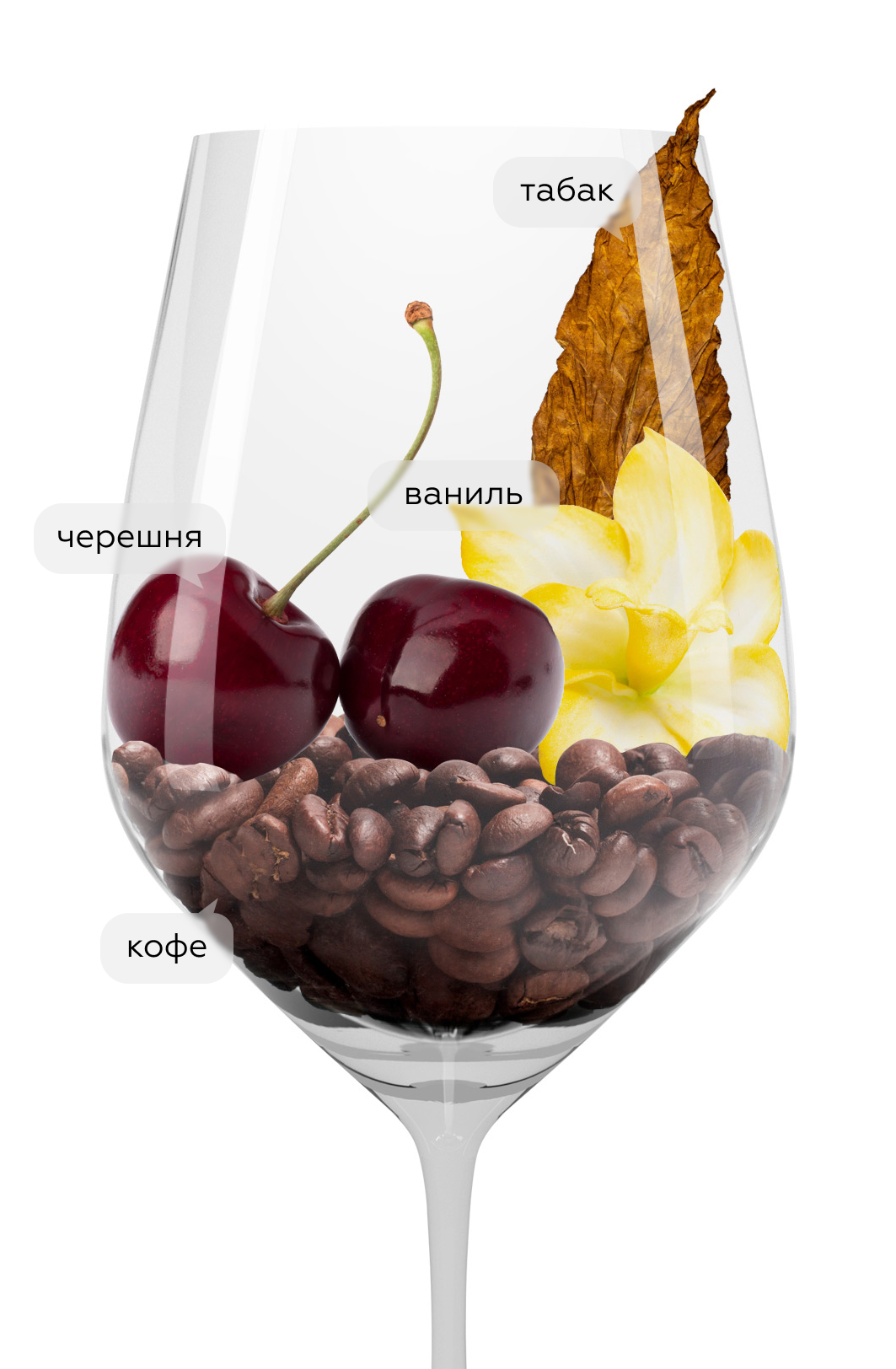 Вино Каберне Совиньон Красная Горка, Галицкий и Галицкий, 2022, (155313), Россия, Кубань, красное, сухое, 0.75 л, Каберне Совиньон Красная Горка, цена 4190 рублей