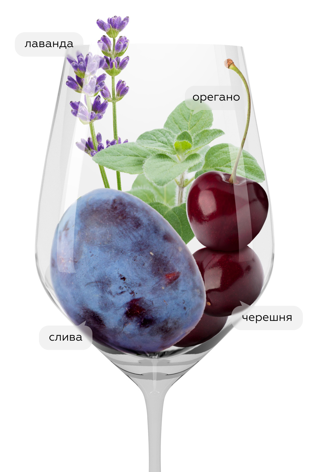 Вино Brunello di Montalcino Castelgiocondo, Frescobaldi, 2020, 1.5л, (156059), Италия, Тоскана, красное, сухое, 1.5 л, Брунелло ди Монтальчино Кастельджокондо, цена 27490 рублей