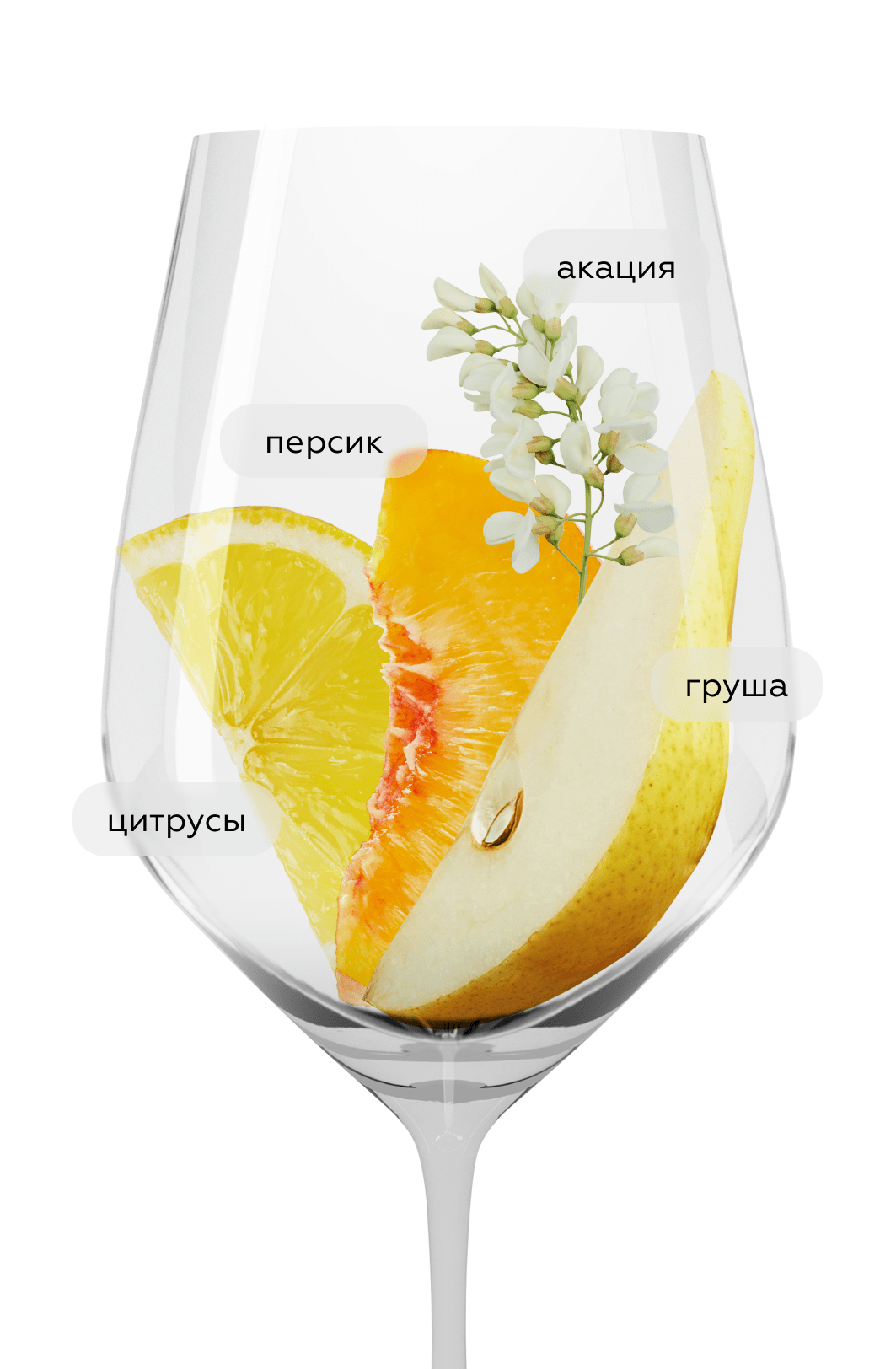 Игристое вино Prosecco Valdobbiadene Superiore di Cartizze Brut в подарочной упаковке, Ruggeri, 2023, (151494), Италия, Венето, белое, брют, 0.75 л, Просекко Вальдоббьядене Супериоре ди Картицце Брют, цена 7790 рублей