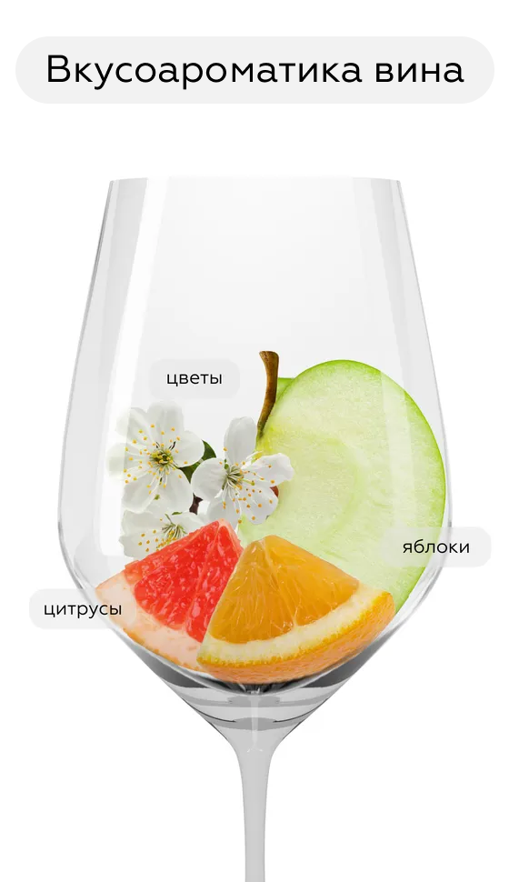 Игристое вино Prosecco Spumante Brut, Casa Defra, (157973), Италия, Венето, белое, брют, 0.75 л, Просекко Спуманте Брют, цена 1690 рублей