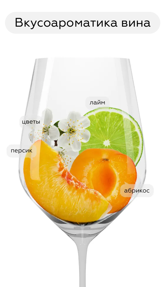 Игристое вино Bruni Asti в подарочной упаковке, 2021, (140223), Италия, Пьемонт, белое, сладкое, 0.75 л, Асти, цена 2640 рублей