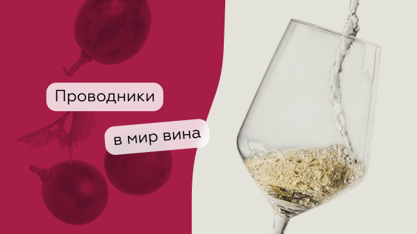 Сомелье, кавист, дегустатор: кто все эти люди