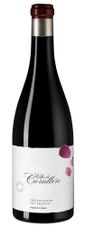 Вино Villa de Corullon, (121357), красное сухое, 2017 г., 0.75 л, Вилла де Корульон цена 8990 рублей