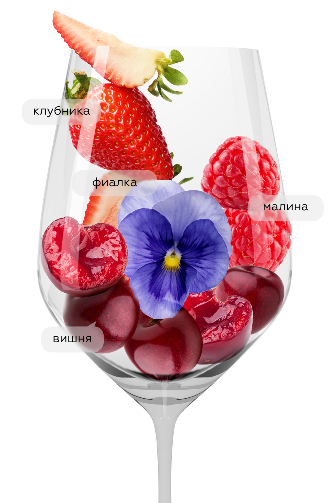 Вино Fontegaia Chianti, San Marco, 2022, (146448), Италия, Тоскана, красное, сухое, 0.75 л, Фонтегайа Кьянти, цена 2290 рублей