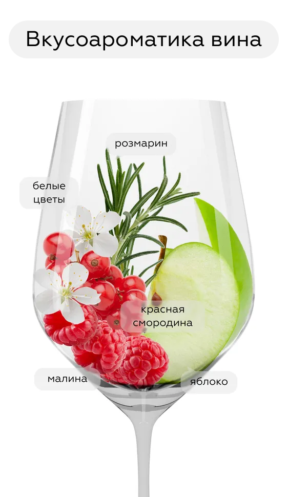 Игристое вино Prosecco Argeo Rose Brut Millesimato, Ruggeri, 2022, (143656), Италия, Венето, розовое, брют, 0.75 л, Просекко Арджео Розе Брют Миллезимато, цена 2990 рублей